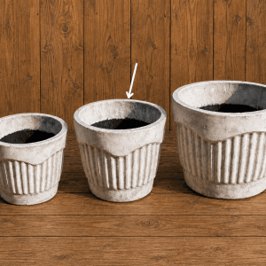 Hanna pot medium