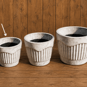 Hanna pot small