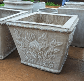 Protea Flower Pot