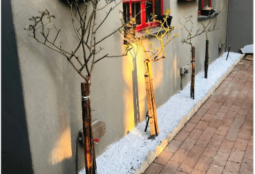 where to buy decorative stones