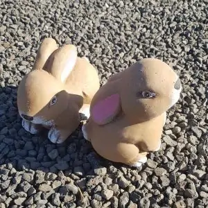 Sitting Bunnies (Rabbits)